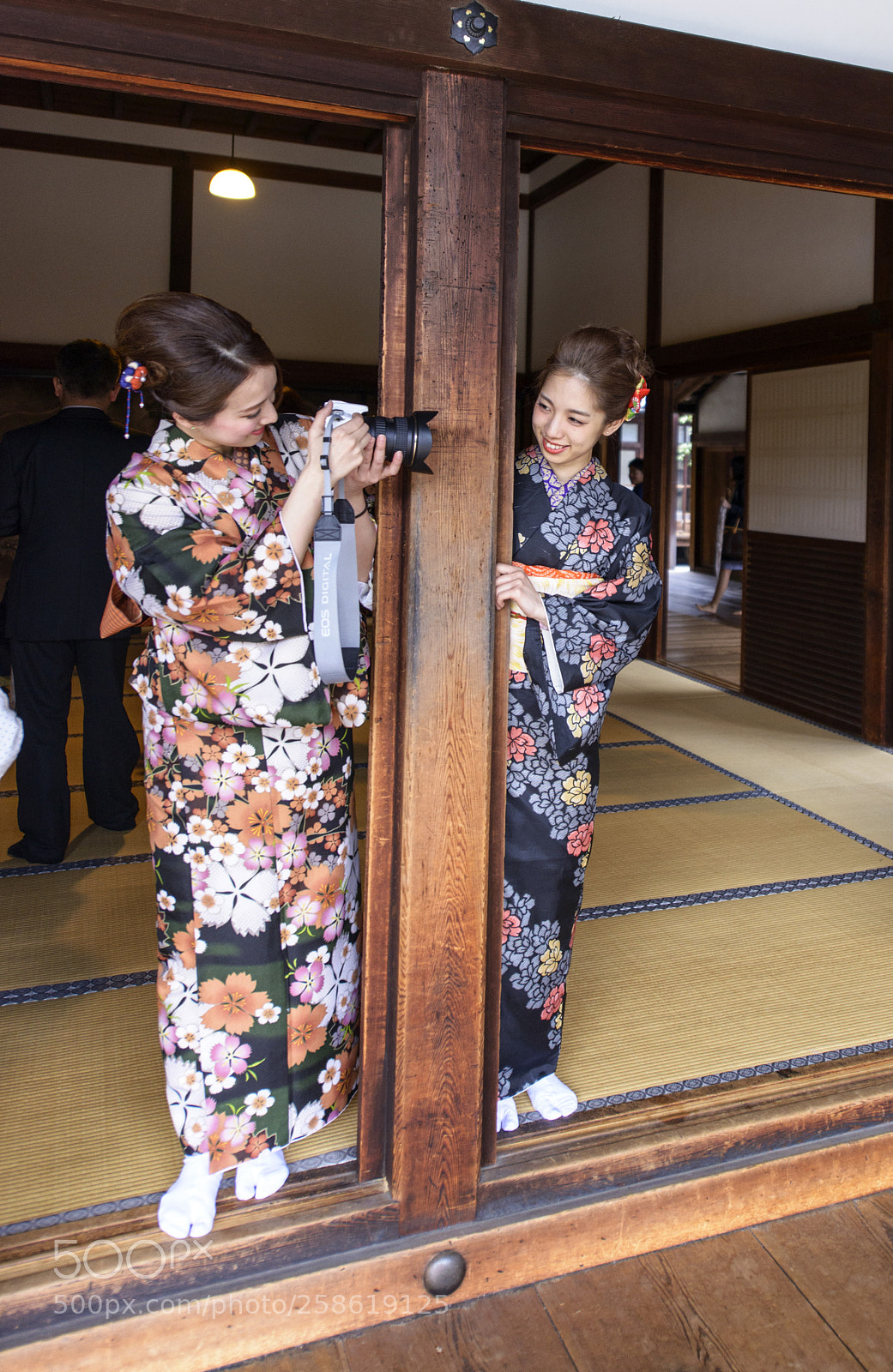 Nikon D800 sample photo. Kyoto spring photography