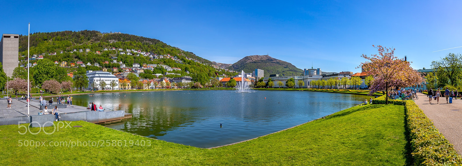 Canon EOS 6D Mark II sample photo. Bergen city park  photography