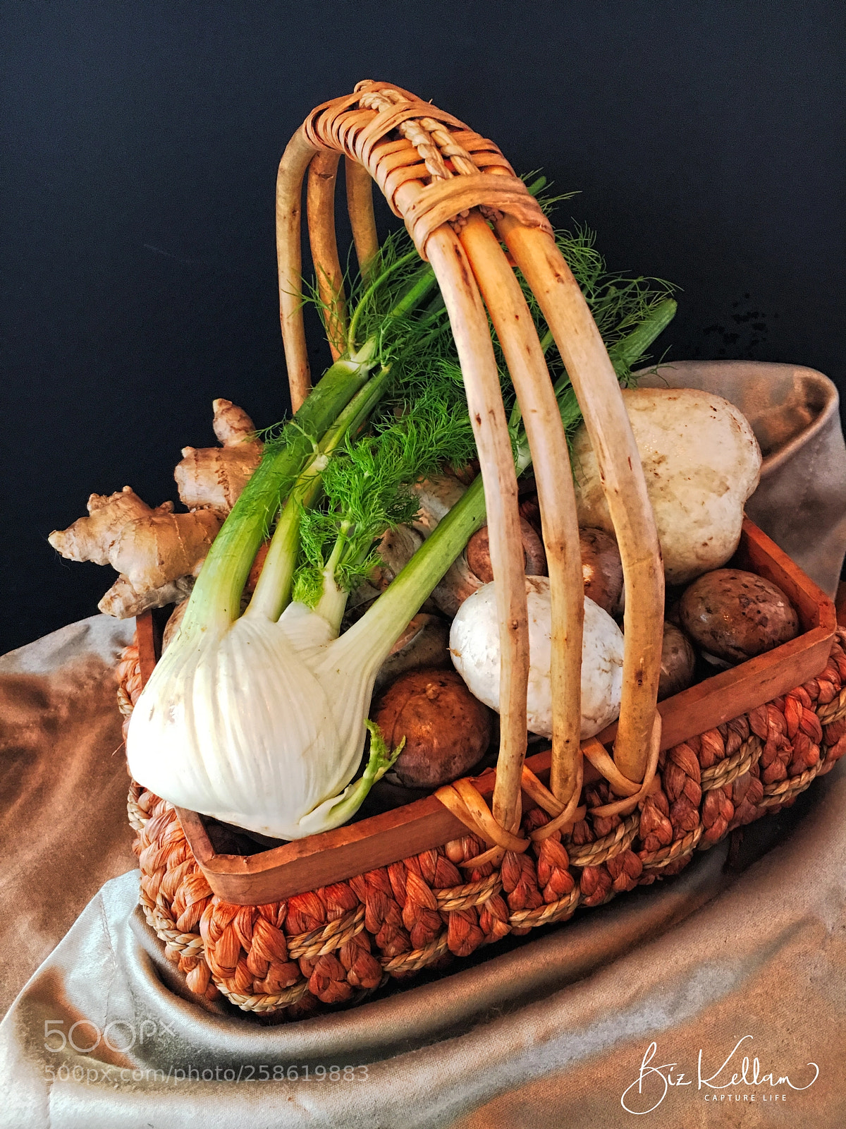 Apple iPhone 6s sample photo. Mushrooms and fennel photography