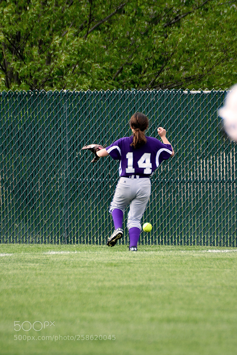 Nikon D500 sample photo. 5-14_0237.jpg photography
