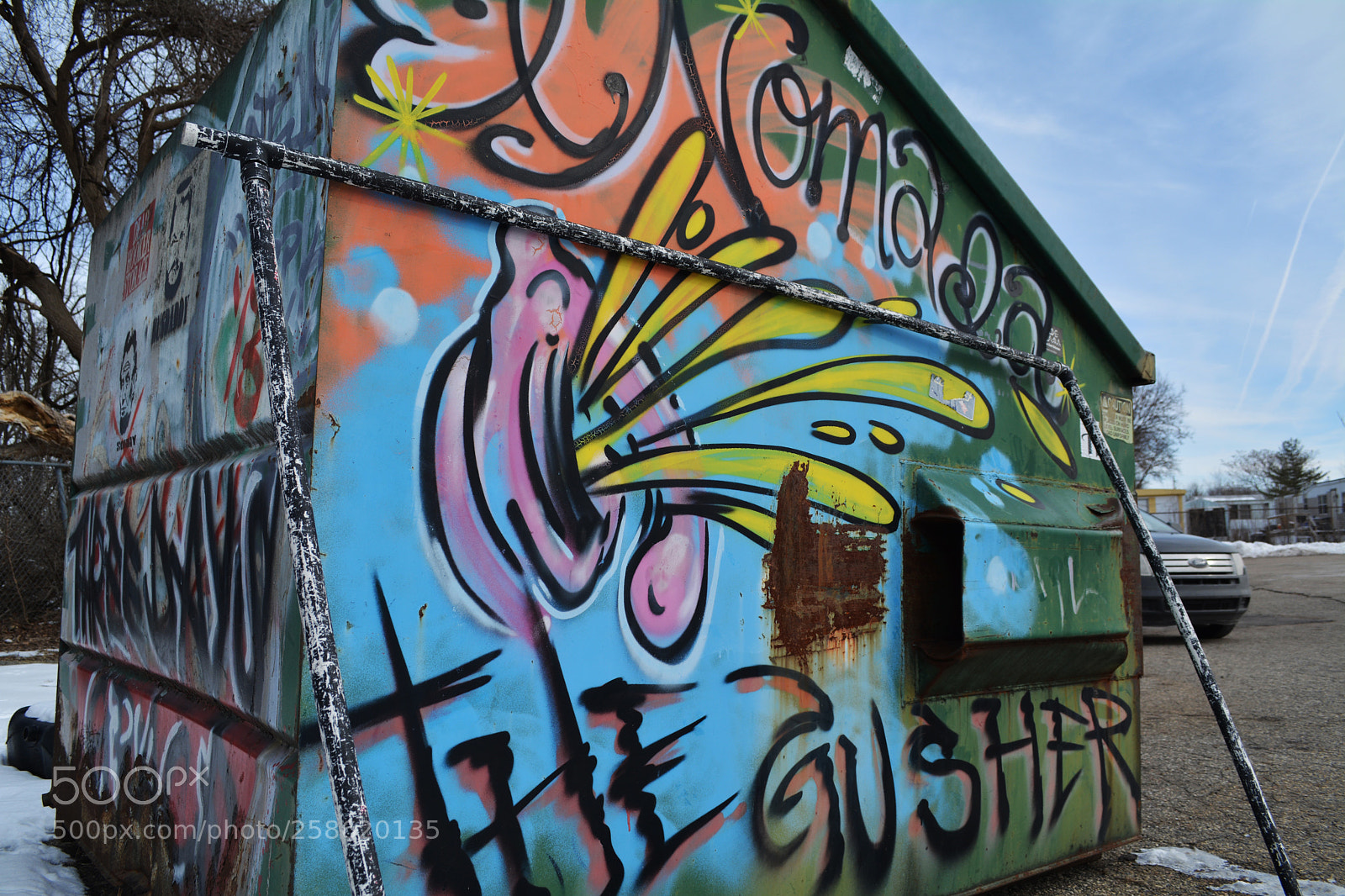 Nikon D5200 sample photo. Dumpster graffiti photography