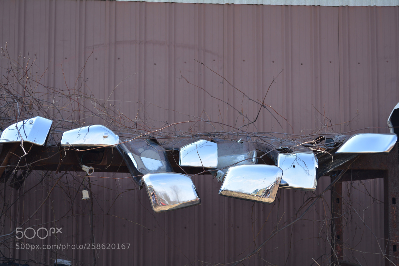 Nikon D5200 sample photo. Mirror image photography