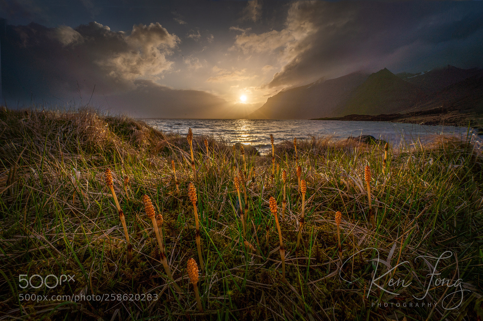 Sony a7R III sample photo. Hofn sunset 1 photography