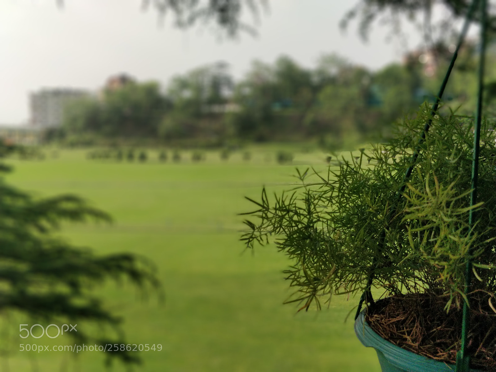OnePlus 5 sample photo. Untitled photography