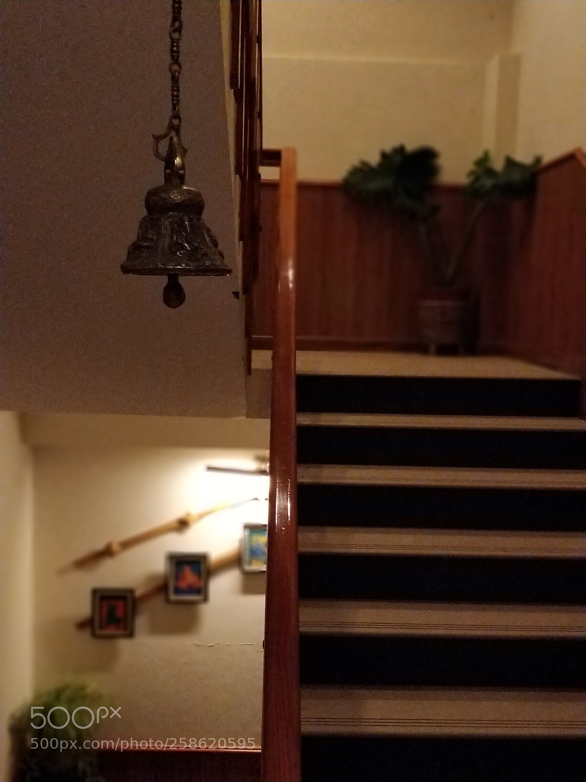 OnePlus 5 sample photo. Untitled photography