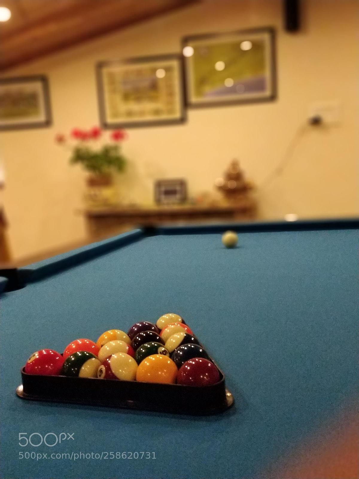 OnePlus 5 sample photo. Untitled photography