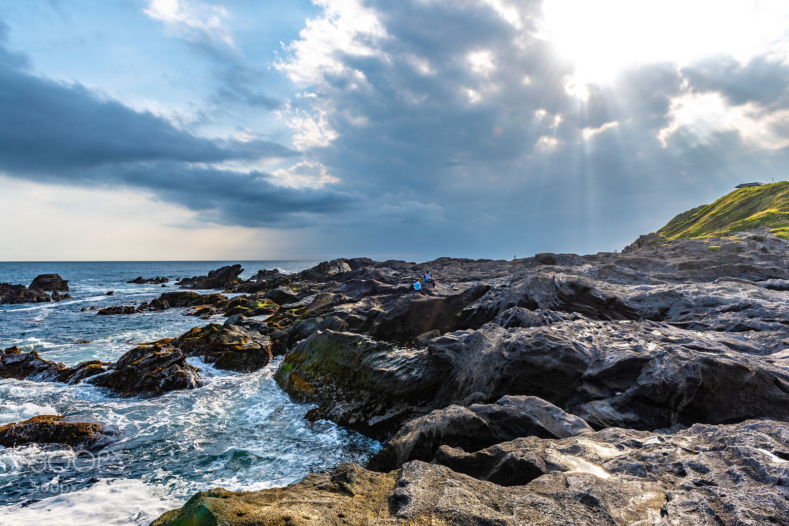 Nikon D750 sample photo. More light photography