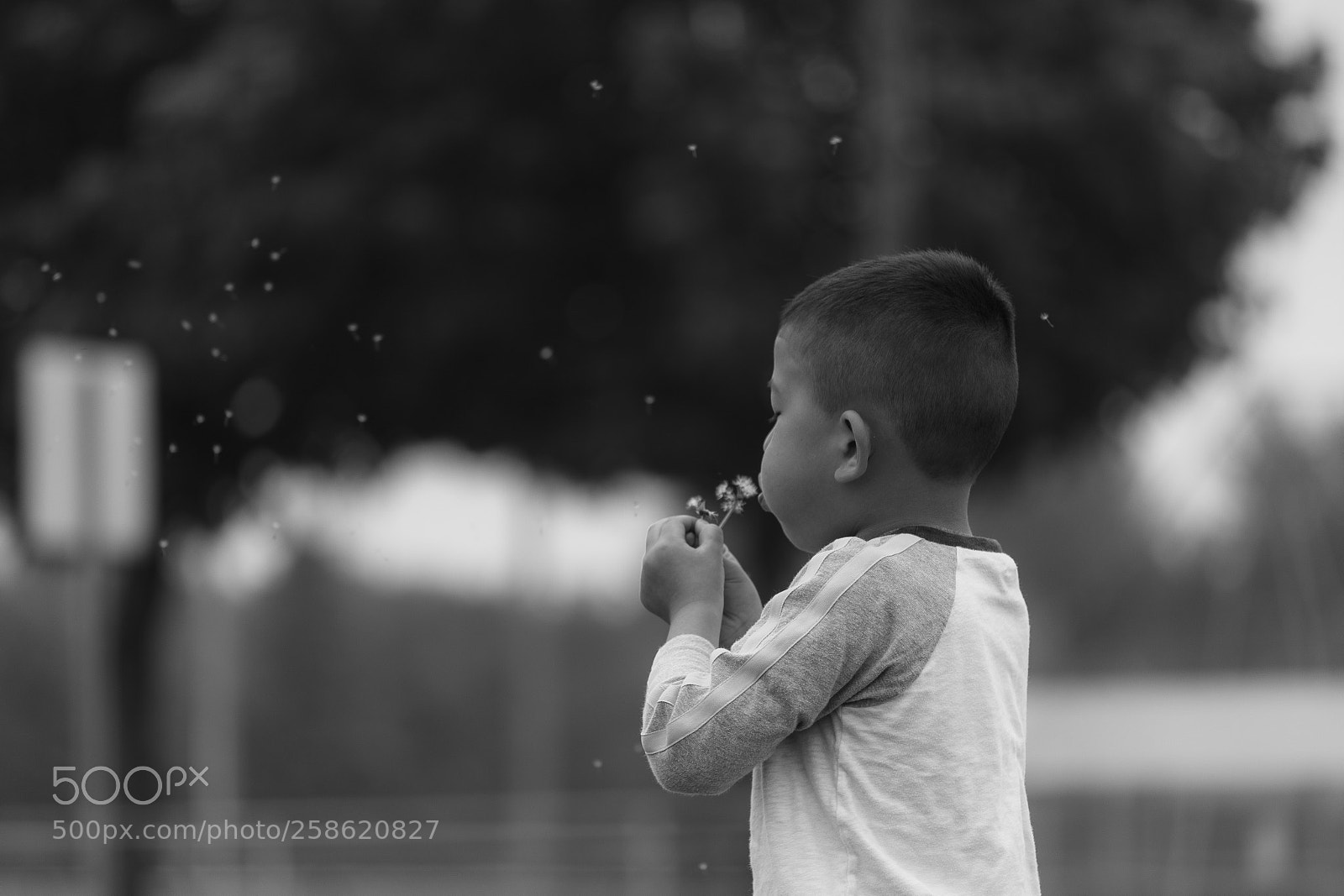 Canon EOS 6D Mark II sample photo. Img photography