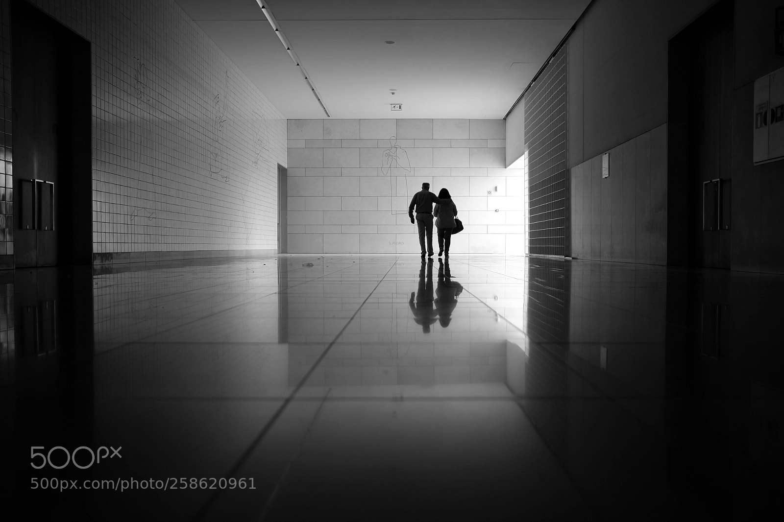 Fujifilm X-T2 sample photo. More than friends photography