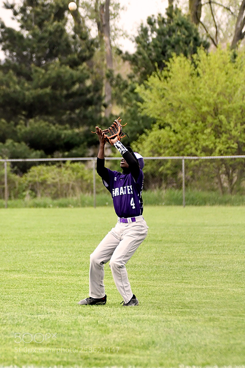 Nikon D500 sample photo. 5-15_0279.jpg photography