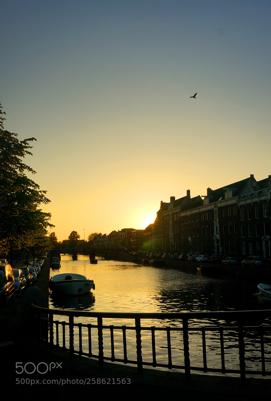 Sony Alpha NEX-6 sample photo. Haarlem's yellow river photography