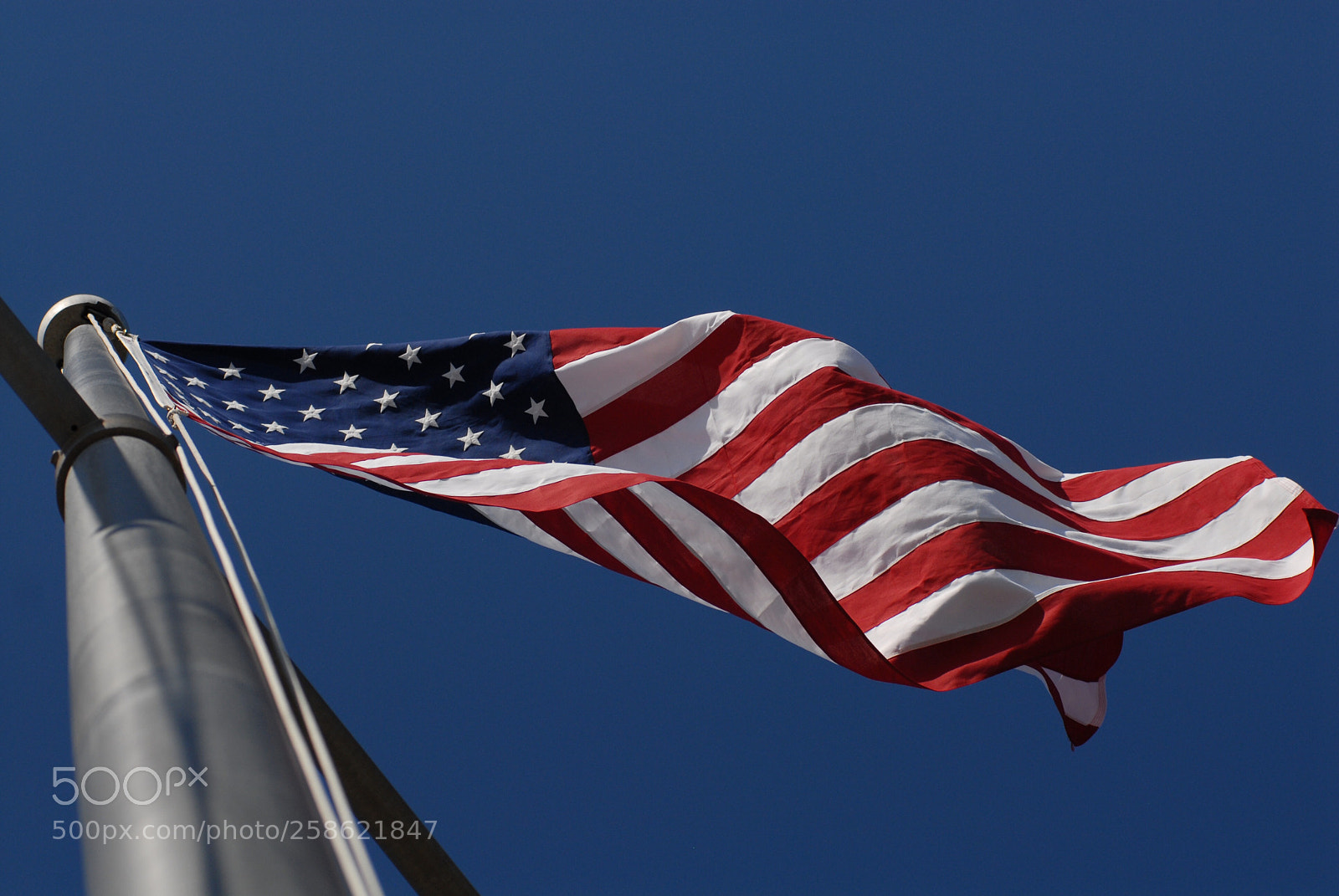 Nikon D200 sample photo. Untitled photography