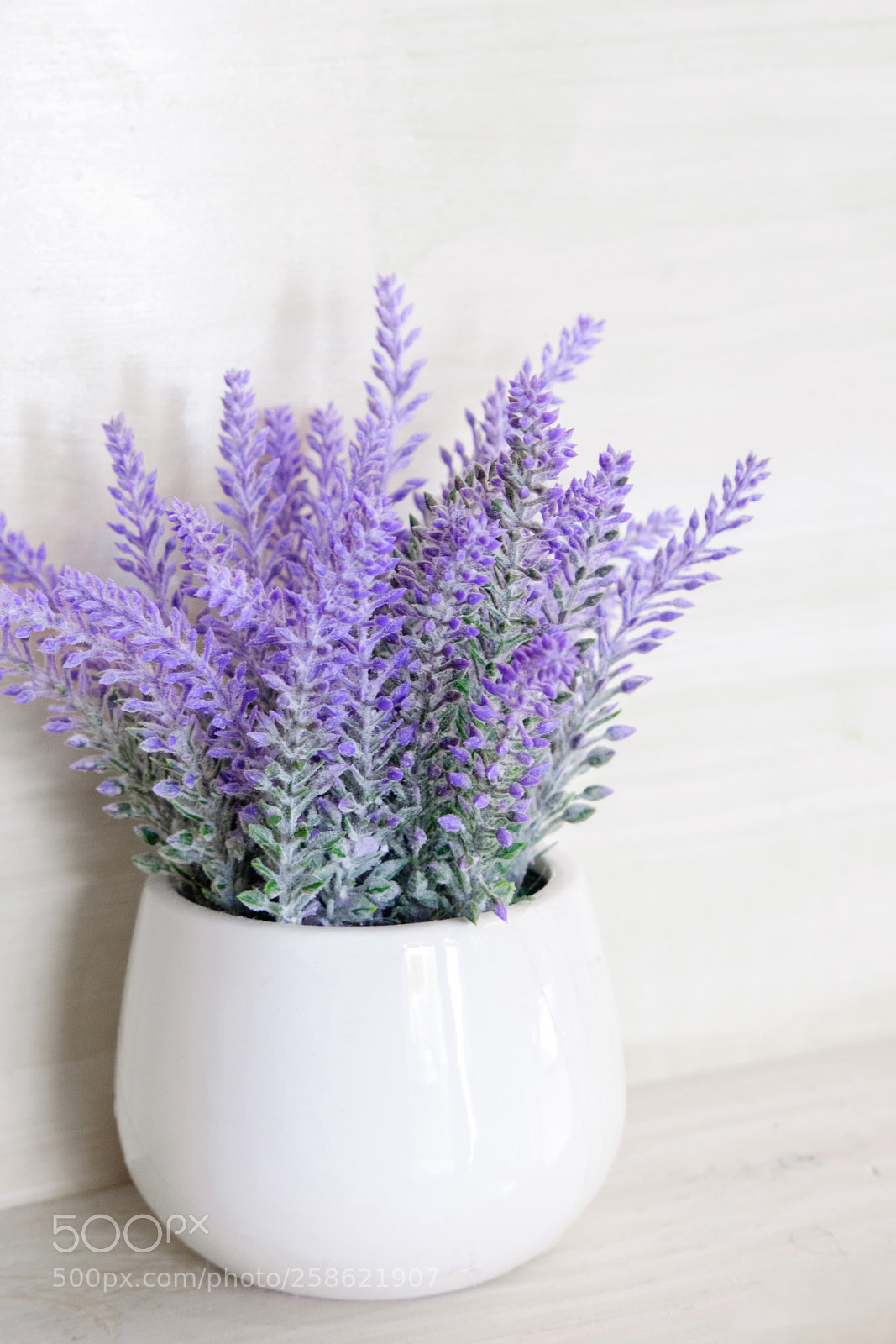 Fujifilm X-T1 sample photo. Lavender photography