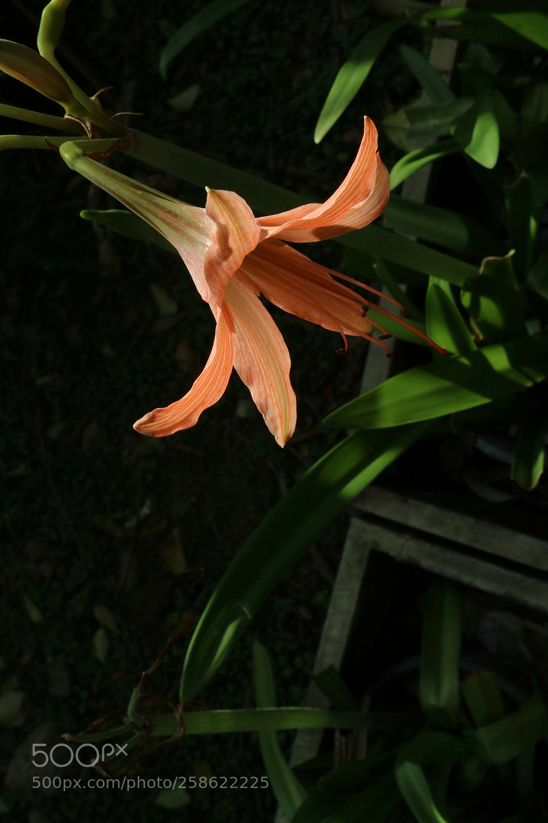 Canon EOS M3 sample photo. | lonely girl | photography