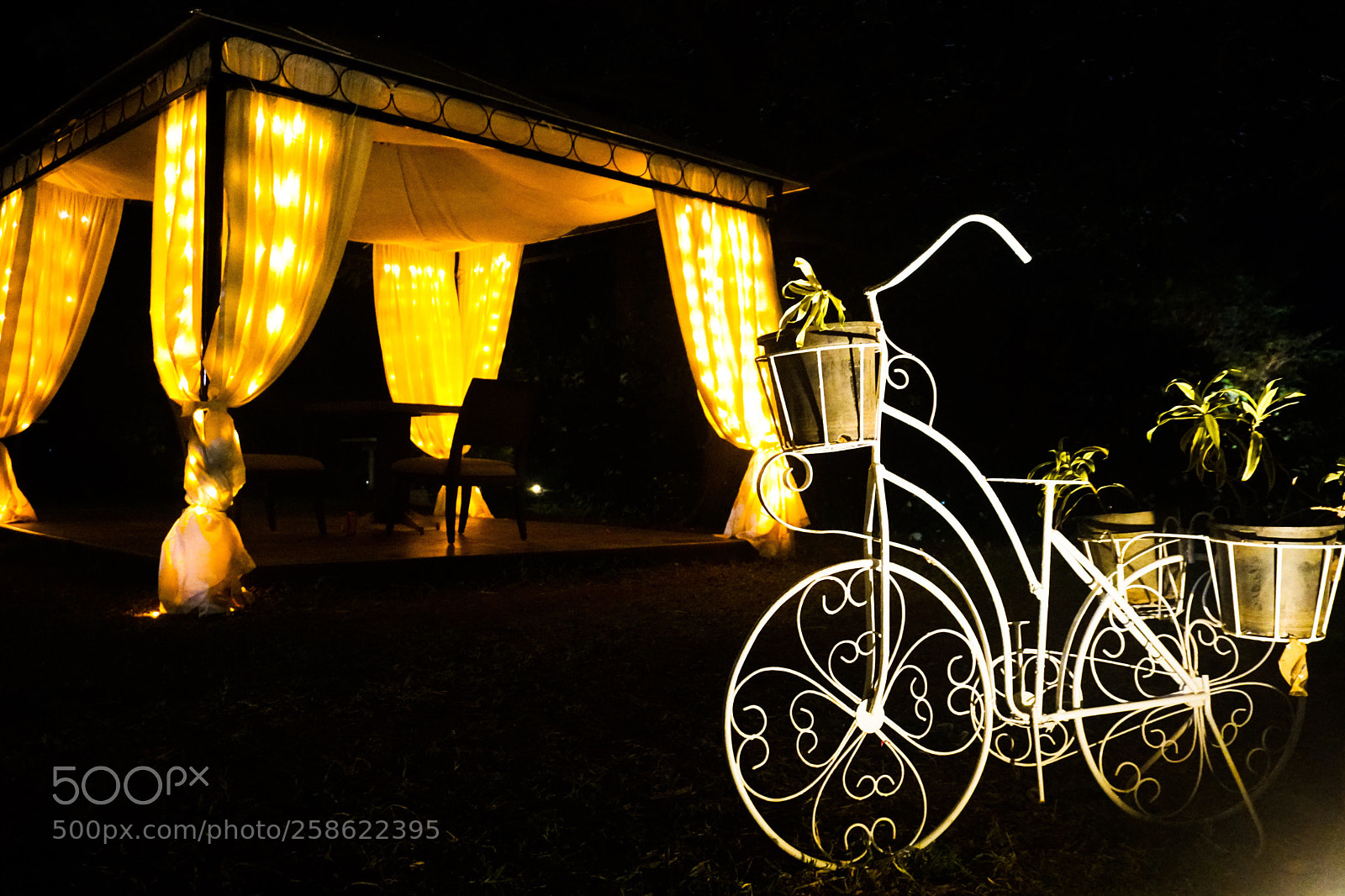 Sony a6500 sample photo. Night photography attempt photography
