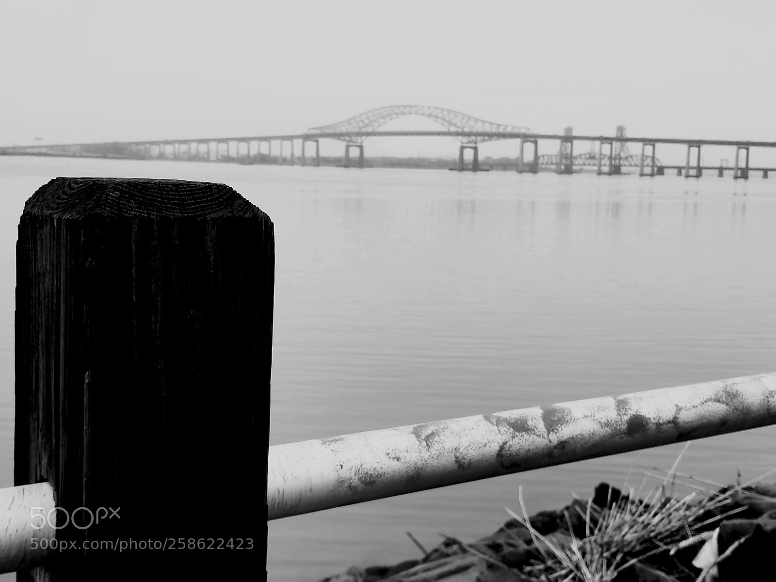 Samsung Galaxy S8+ sample photo. Bridge photography
