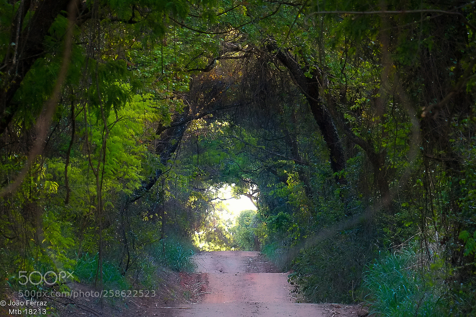 Fujifilm X-E1 sample photo. Amazonia-brasil. photography
