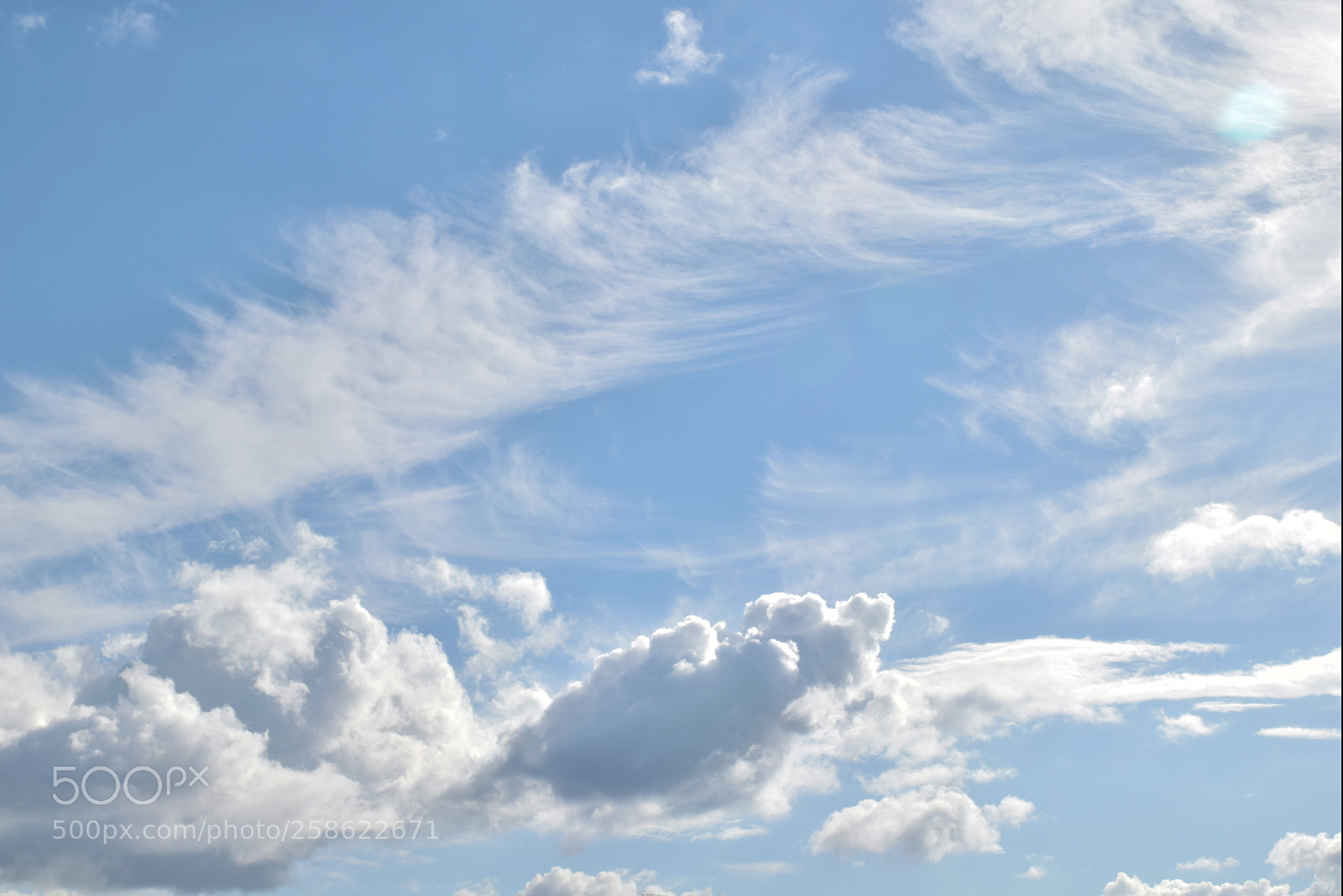 Nikon D5300 sample photo. _dsc0187..jpg photography