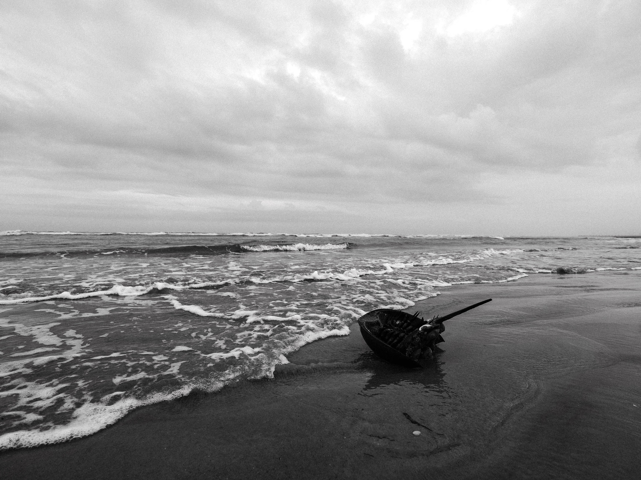 Panasonic Lumix DC-GH5S sample photo. Death photography