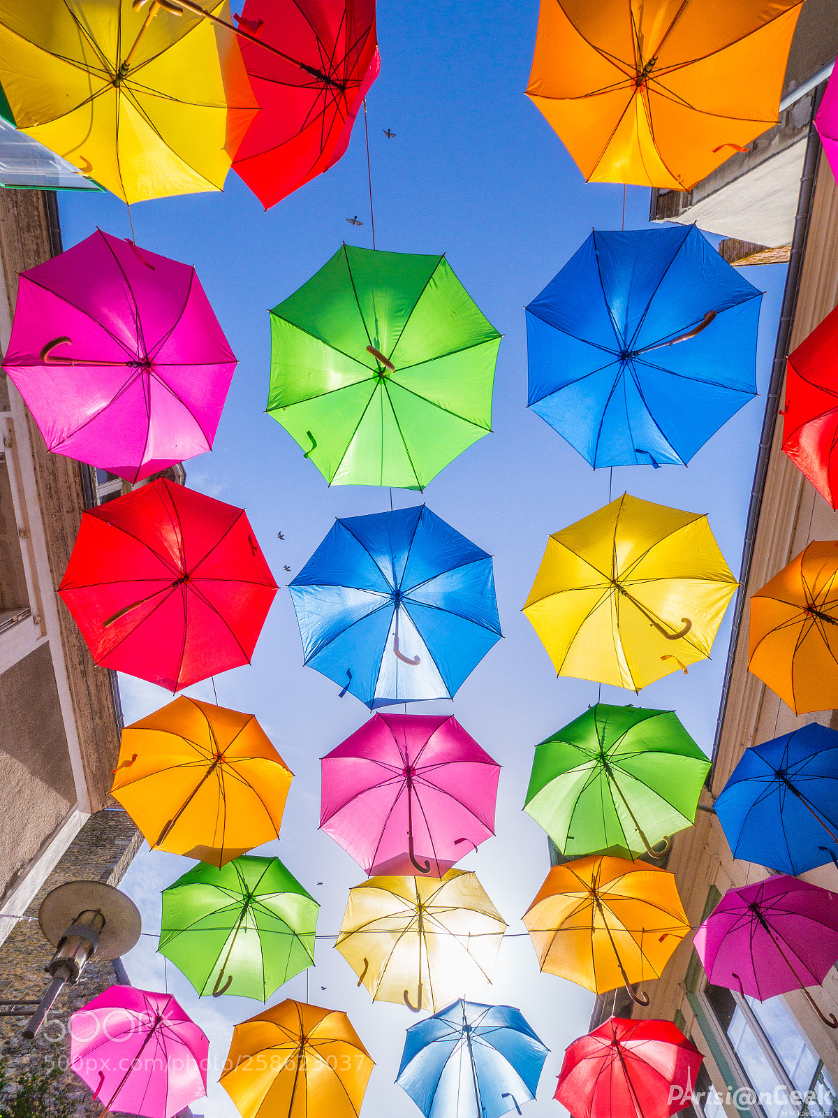 Olympus OM-D E-M10 II sample photo. Parapluies de fresnay-sur-sarthe photography