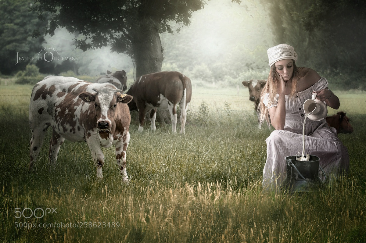 Nikon D300 sample photo. The milkmaid 2 photography