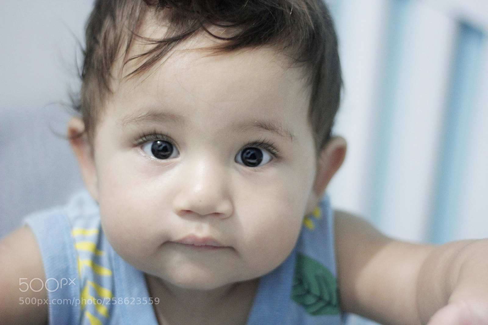 Canon EOS 60D sample photo. Curumim photography