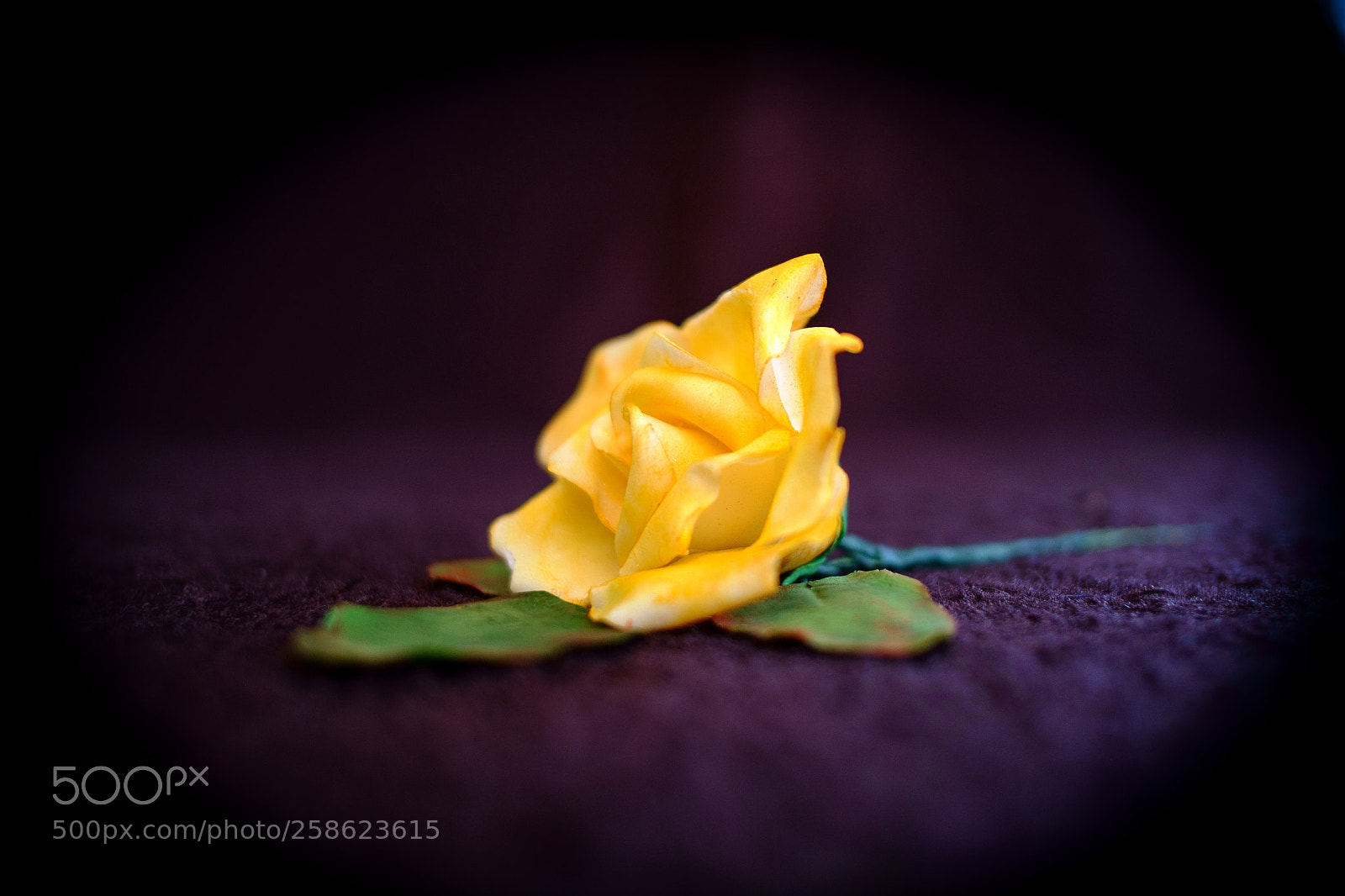 Fujifilm X-Pro1 sample photo. Single yellow rose 3 photography