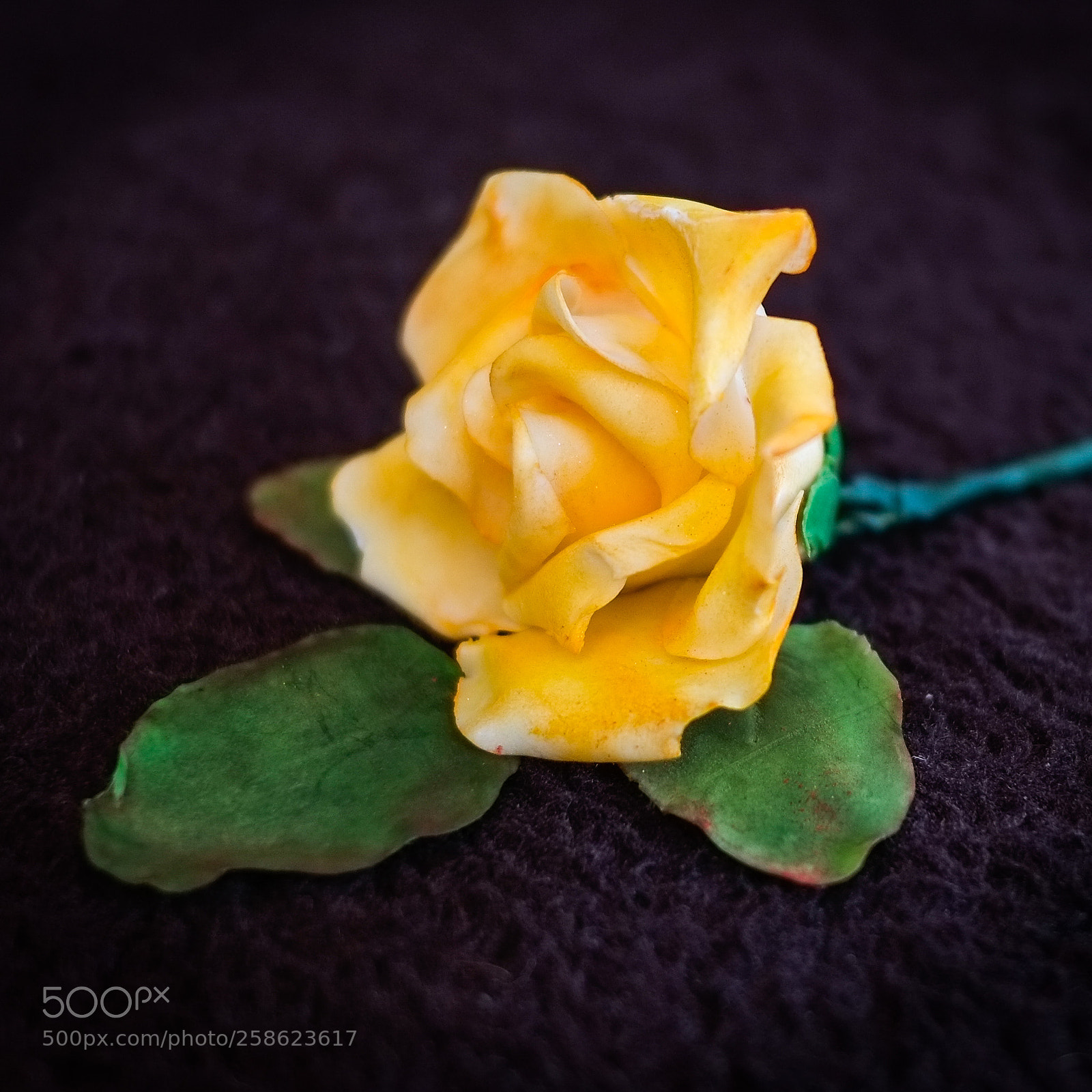 Fujifilm X-Pro1 sample photo. Single yellow rose 2 photography