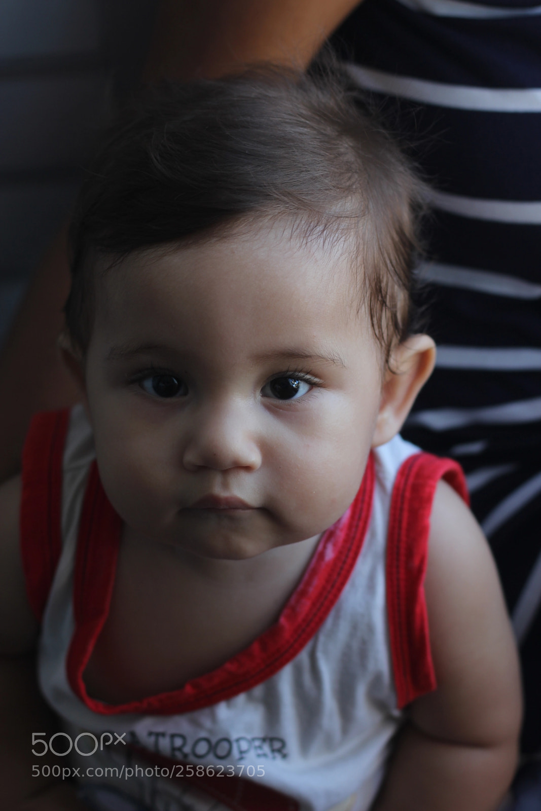 Canon EOS 60D + Canon EF 50mm F1.8 STM sample photo. Ingá curumim photography