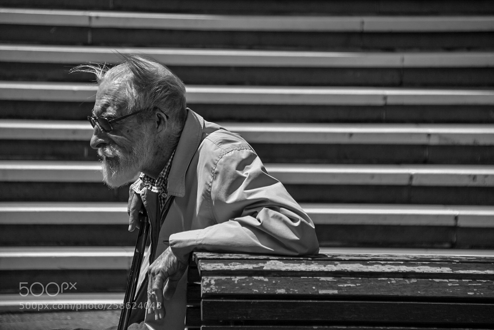 Nikon D3400 sample photo. Untitled photography