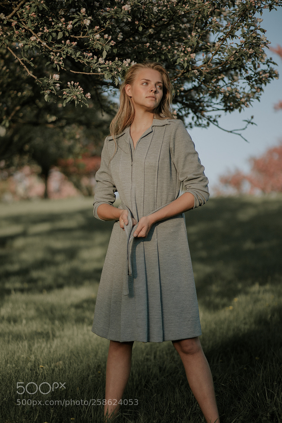 Canon EOS 6D sample photo. Elle photography