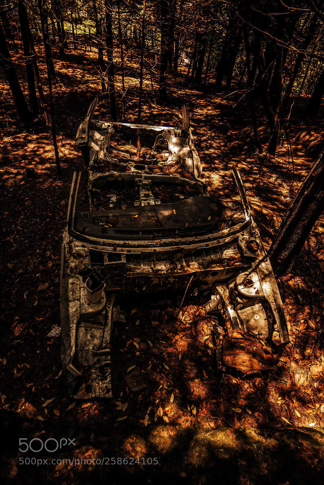 Nikon D200 sample photo. Skeleton photography