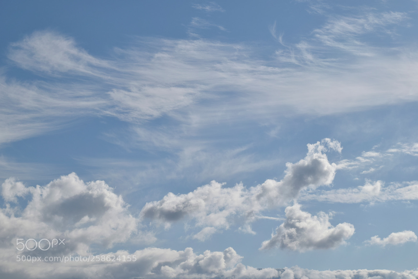 Nikon D5300 sample photo. _dsc0212..jpg photography