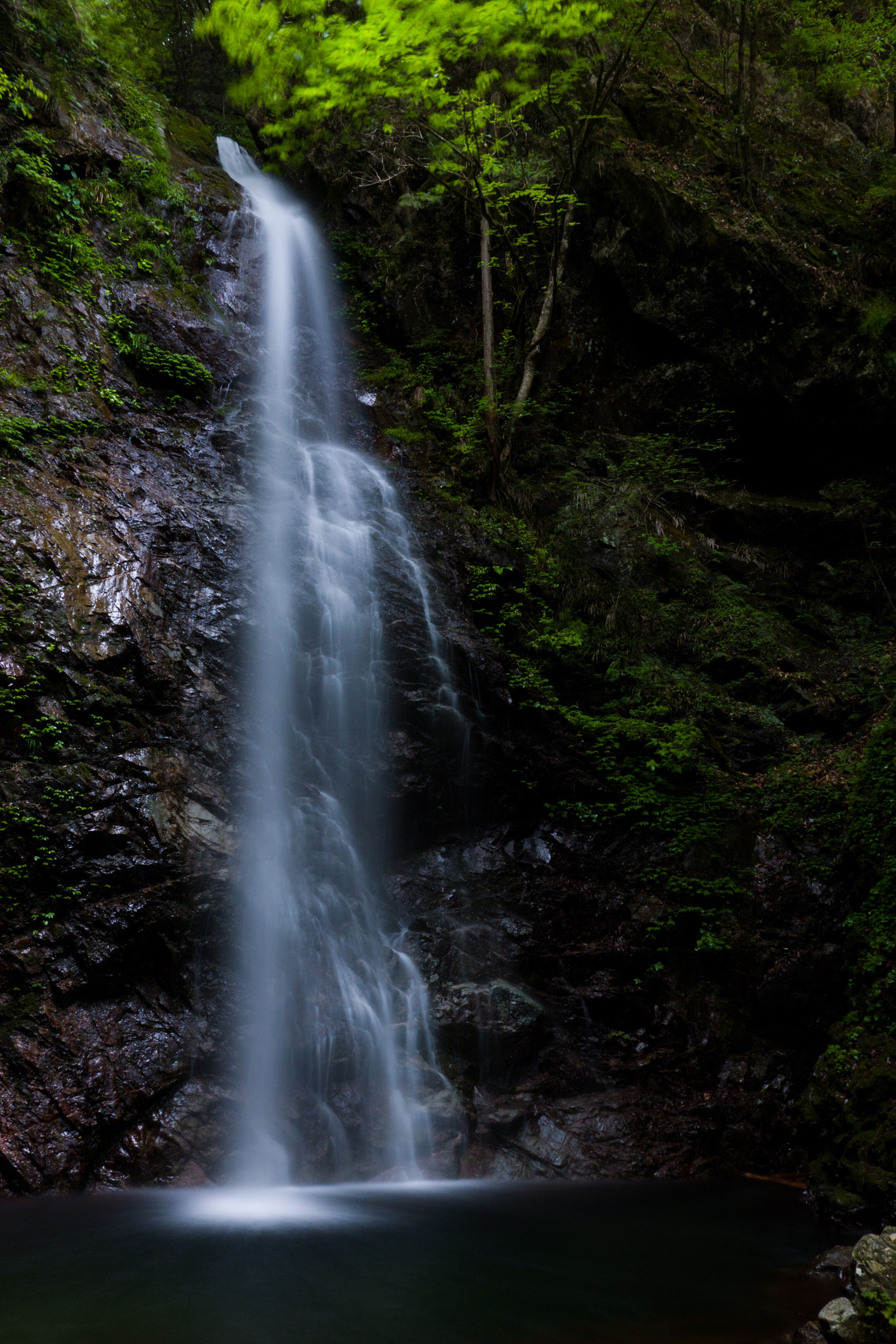 Panasonic Lumix DMC-GX85 (Lumix DMC-GX80 / Lumix DMC-GX7 Mark II) sample photo. Waterfall photography