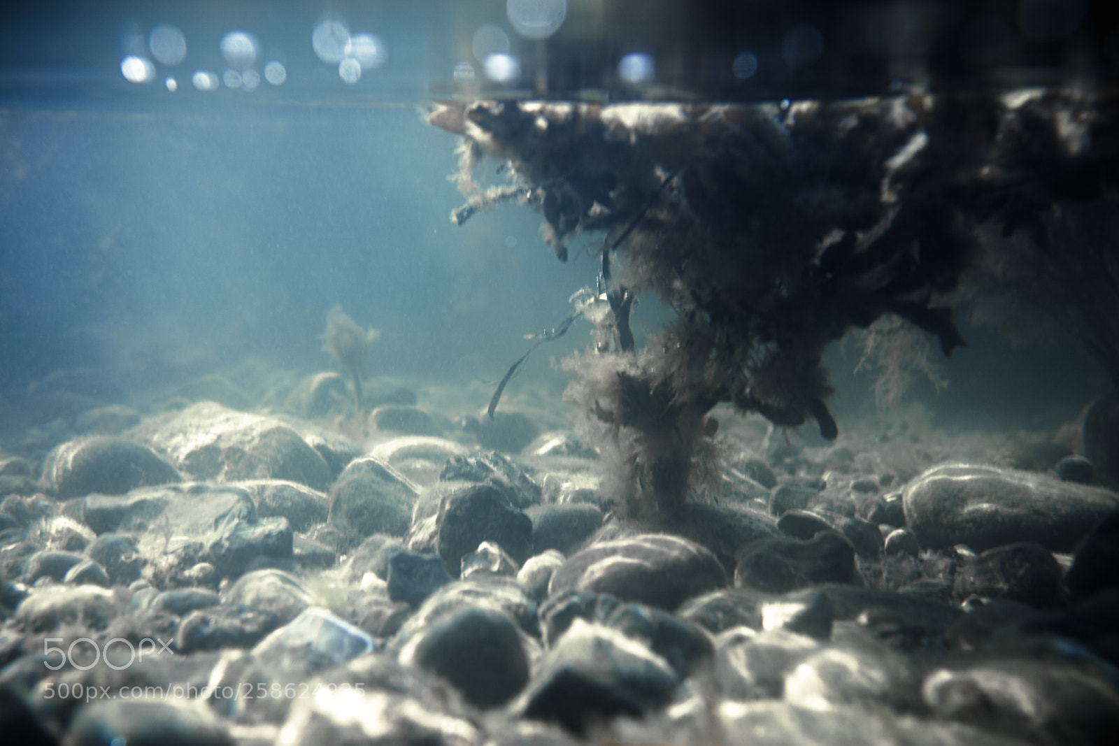Canon EOS 5DS R sample photo. Saltwater abstraction photography