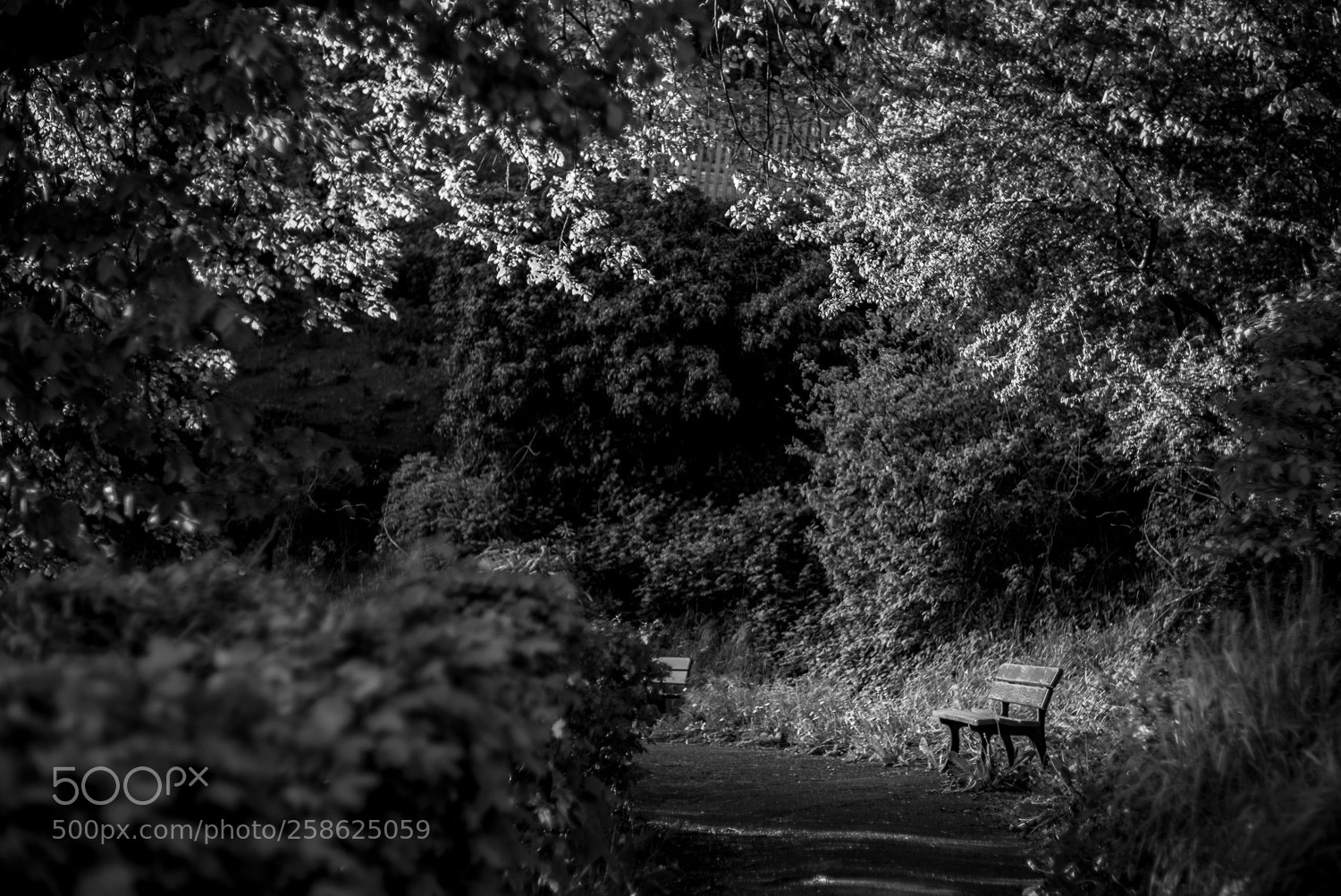 Leica M (Typ 240) sample photo. Tranquility photography