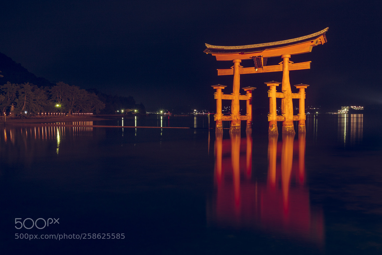 Canon EOS 450D (EOS Rebel XSi / EOS Kiss X2) sample photo. The great torii of photography