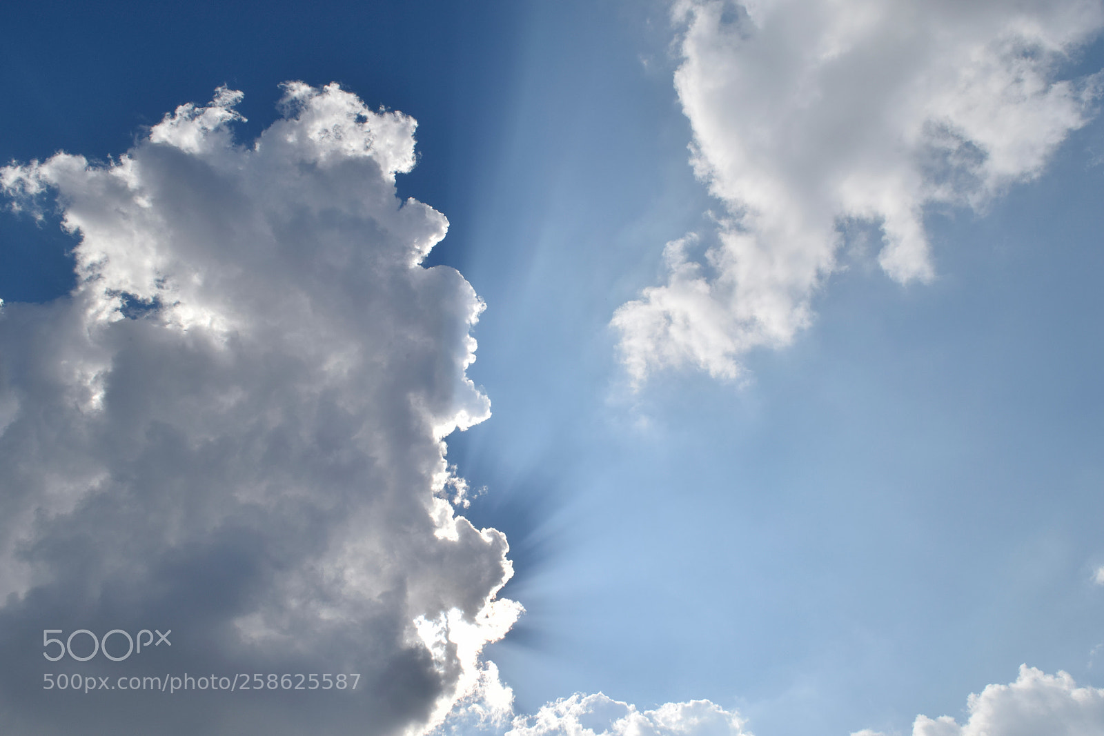 Nikon D5300 sample photo. _dsc0491..jpg photography