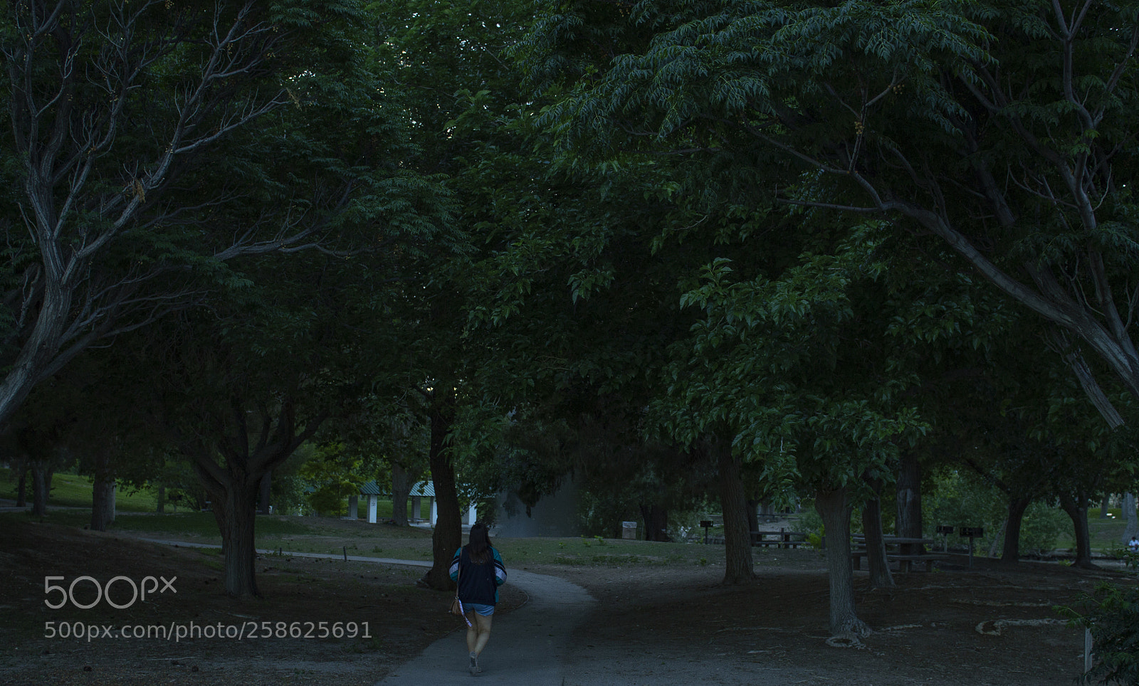Canon EOS 1100D (EOS Rebel T3 / EOS Kiss X50) sample photo. The 702nd oasis photography
