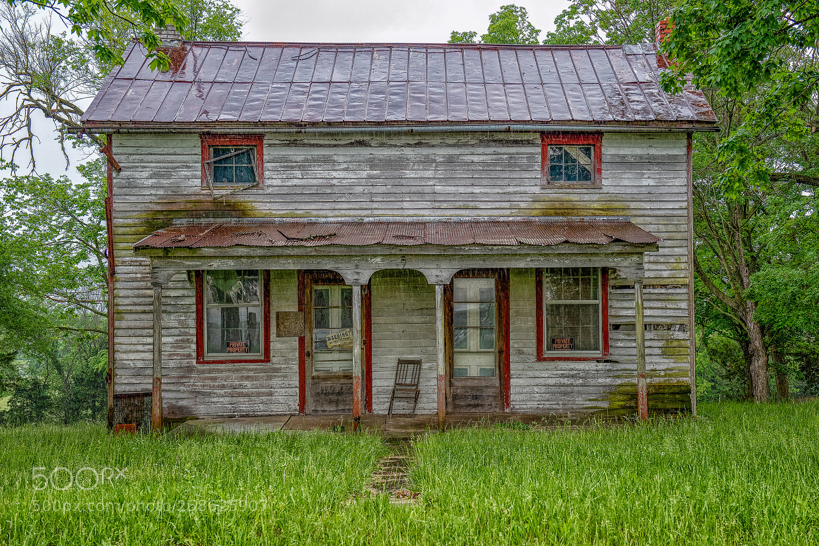 Nikon D810 sample photo. Years photography