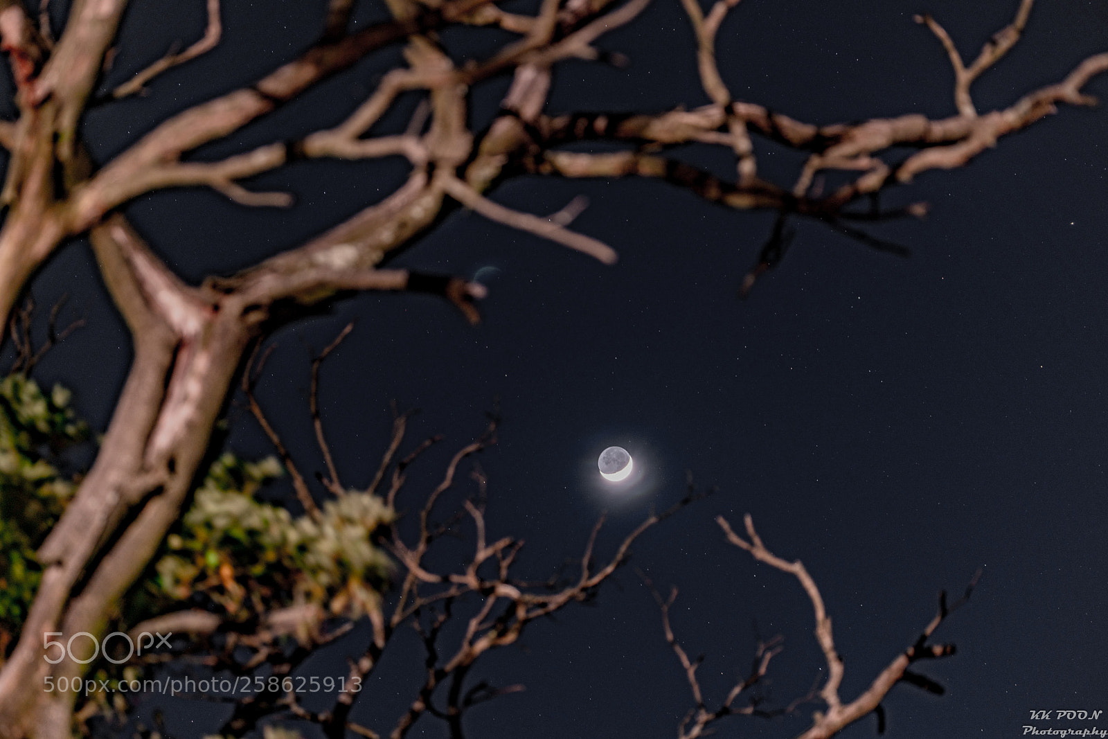 Sony a7R II sample photo. Starlight in a summer's photography