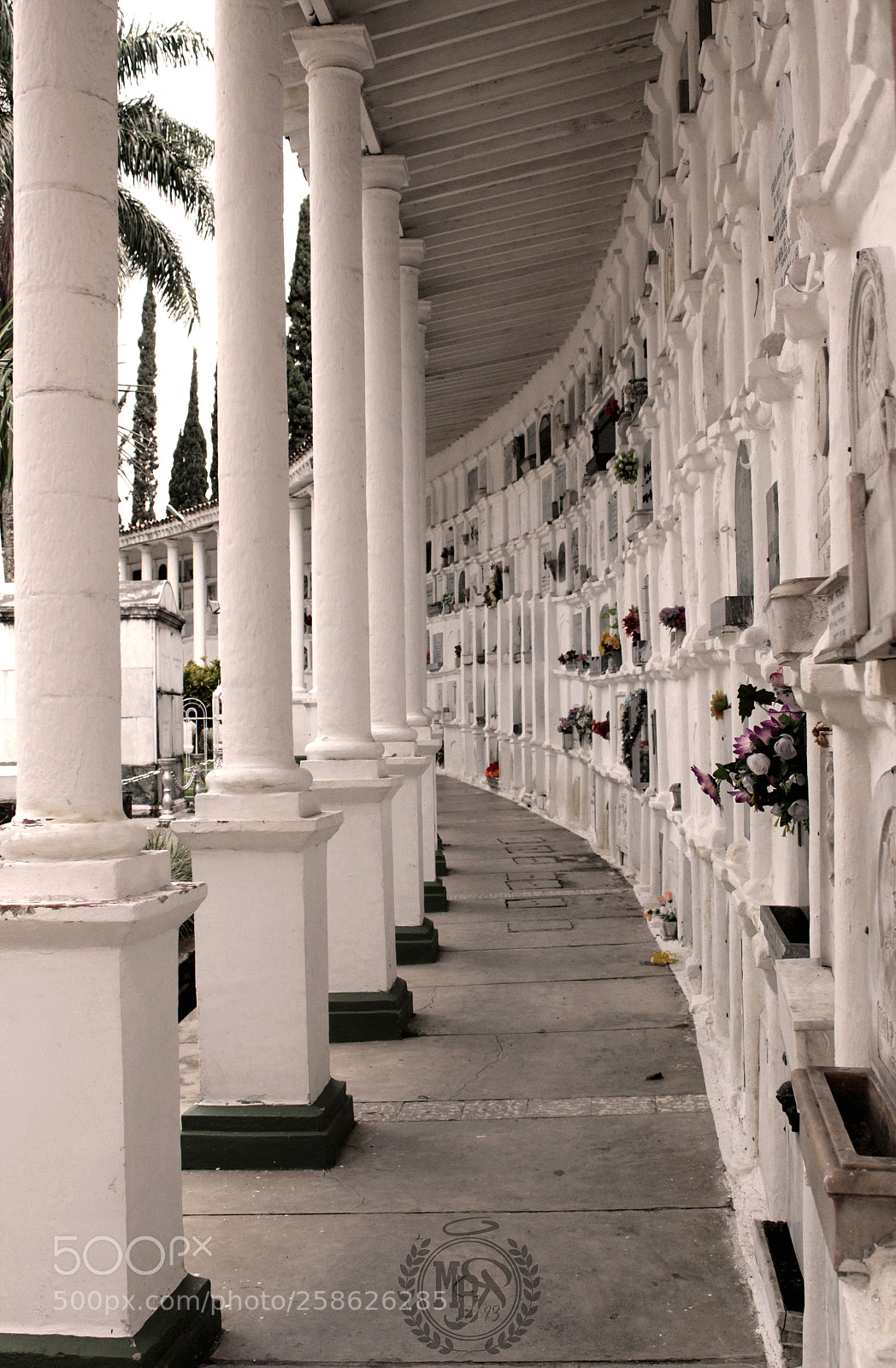 Canon EOS 1300D (EOS Rebel T6 / EOS Kiss X80) sample photo. Cementerio museo san pedro photography