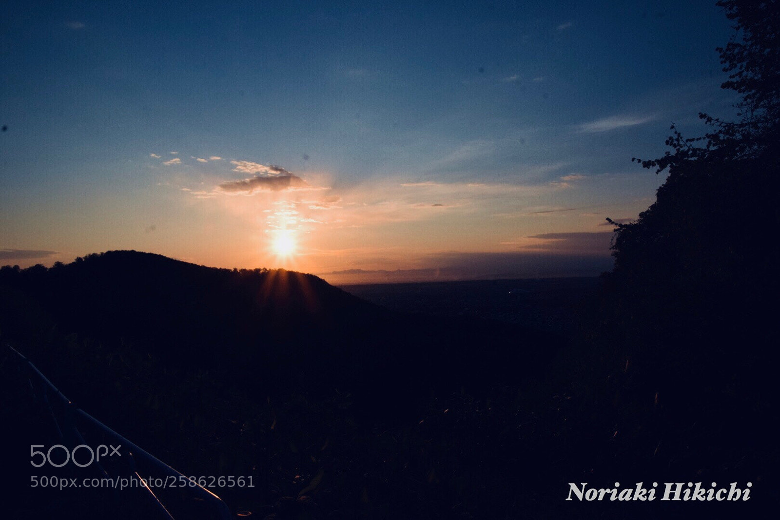 Nikon D5300 sample photo. Untitled photography