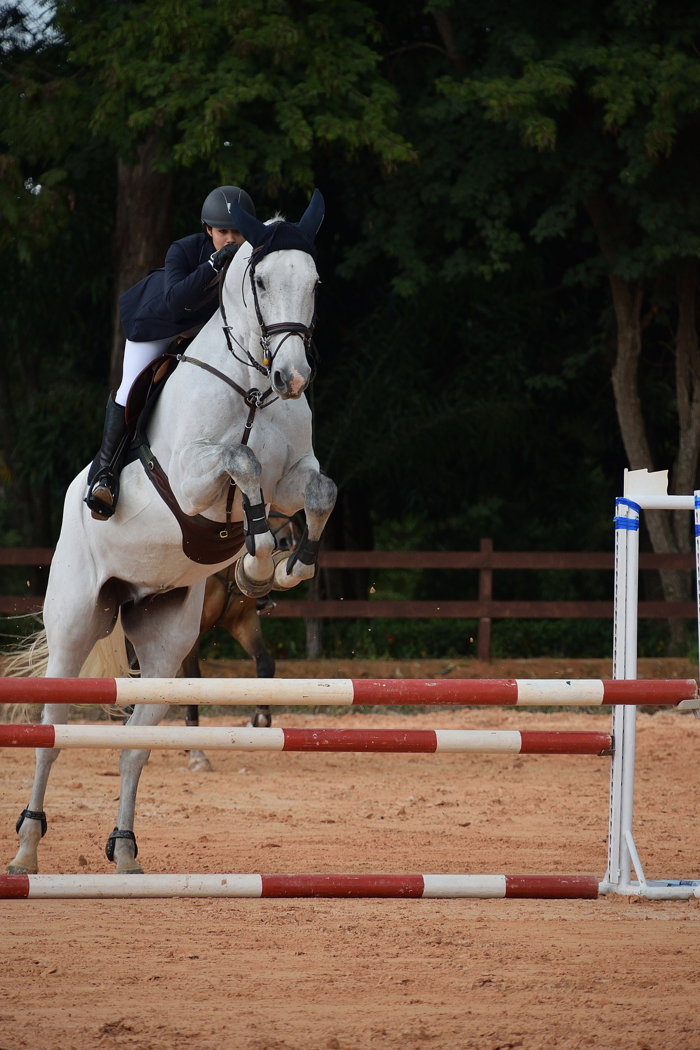Nikon D5300 sample photo. South american equestrian competition photography