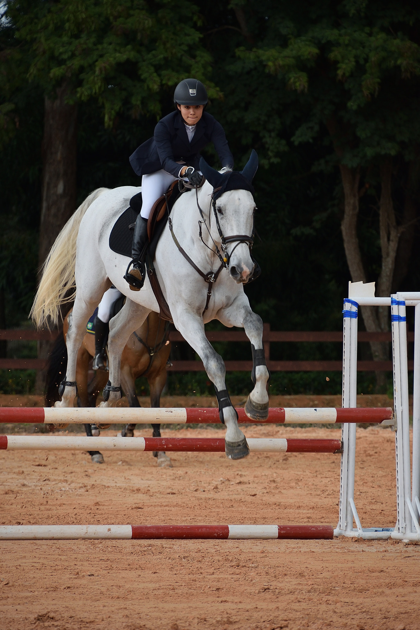 Nikon D5300 sample photo. South american equestrian competition photography