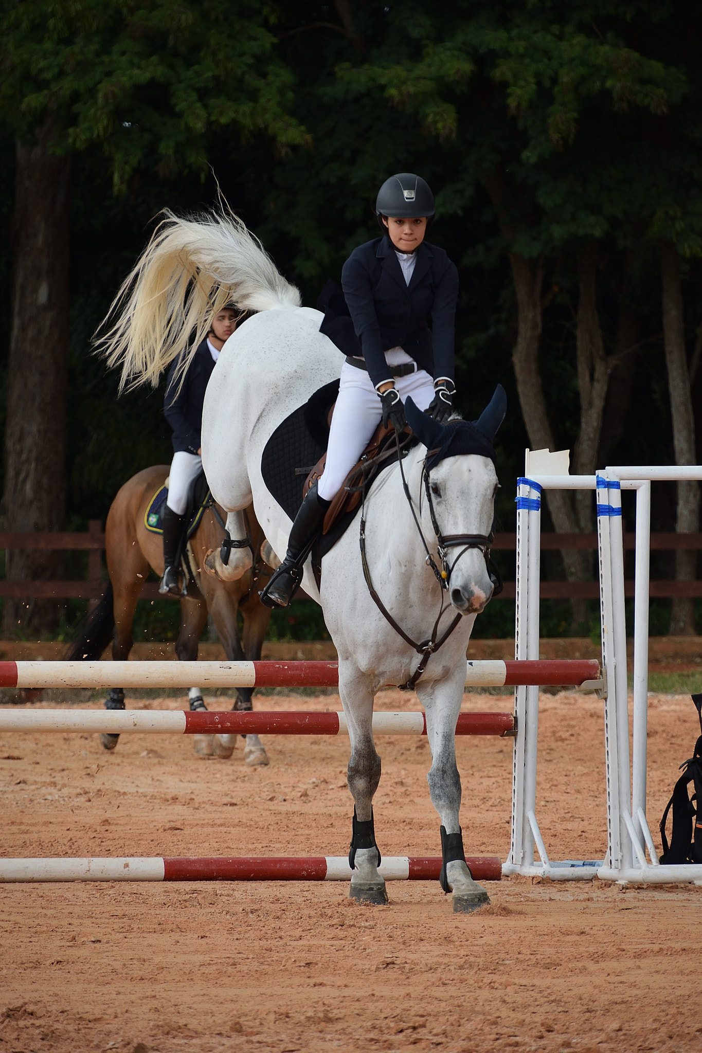 Nikon D5300 sample photo. South american equestrian competition photography