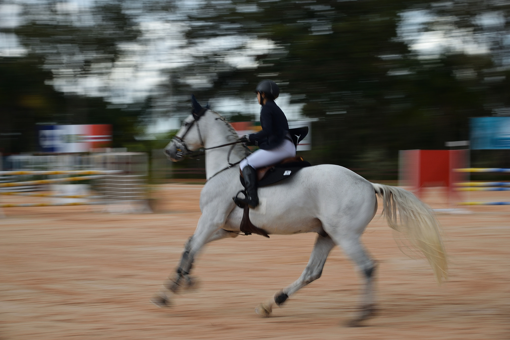 Nikon D5300 sample photo. South american equestrian competition photography