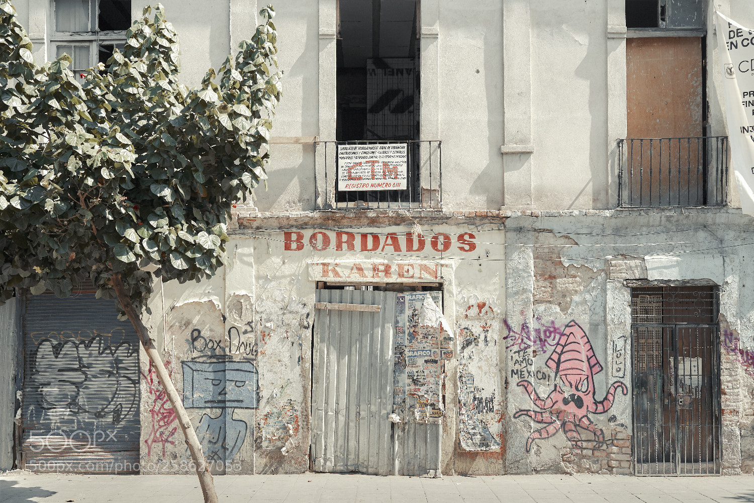 Nikon D750 sample photo. Bordados karen - iv photography