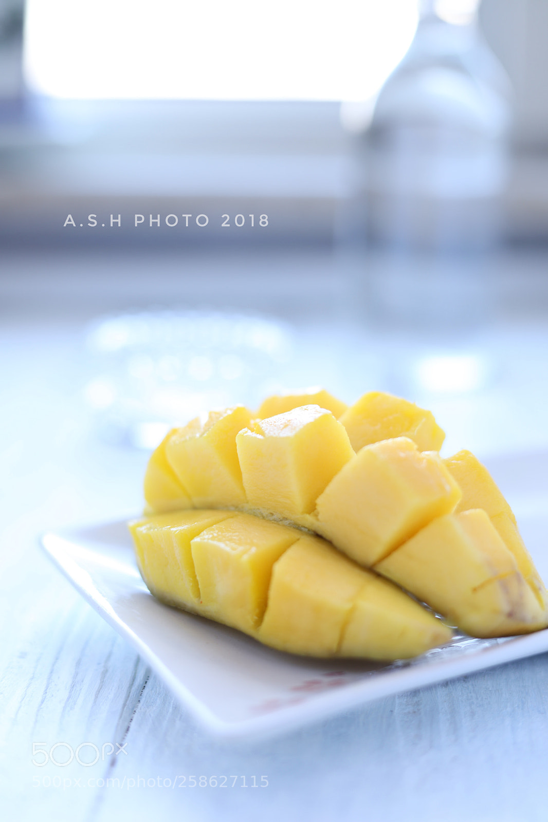 Canon EOS 6D Mark II sample photo. Untitled photography