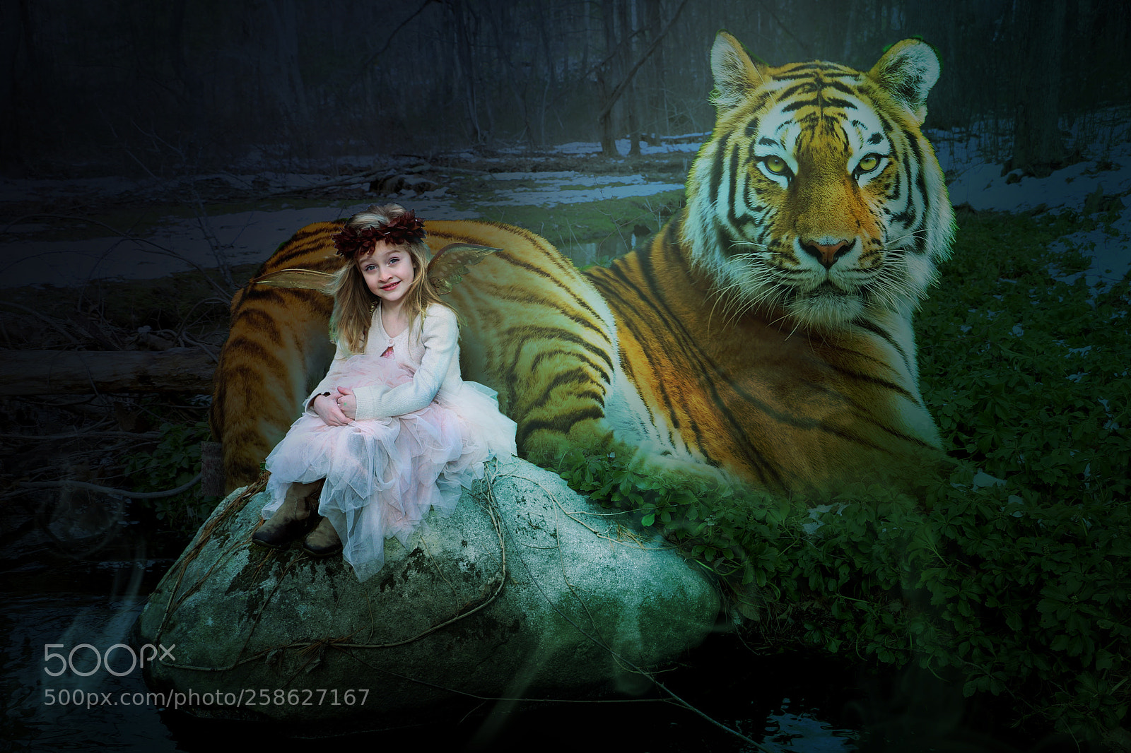 Canon EOS 700D (EOS Rebel T5i / EOS Kiss X7i) sample photo. Tiger p photography